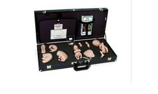 WA15715U 胚胎發(fā)育示教教程(模型、音像帶)-胚胎發(fā)育-WA15715U -上海亨隆科教設(shè)備